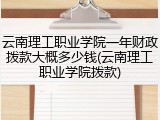 云南理工职业学院一年财政拨款大概多少钱(云南理工职业学院拨款)