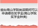烟台南山学院就读期间可以申请哪些奖学金(南山学院奖学金种类)
