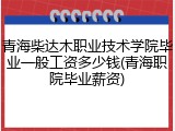 青海柴达木职业技术学院毕业一般工资多少钱(青海职院毕业薪资)