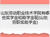 山东劳动职业技术学院有哪些奖学金和助学金呢(山东劳职奖助学金)