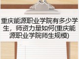 重庆能源职业学院有多少学生，师资力量如何(重庆能源职业学院师生规模)