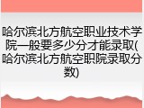 哈尔滨北方航空职业技术学院一般要多少分才能录取(哈尔滨北方航空职院录取分数)