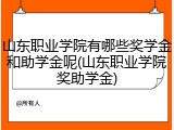 山东职业学院有哪些奖学金和助学金呢(山东职业学院奖助学金)