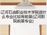 辽河石油职业技术学院读什么专业比较有前景(辽河职院前景专业)
