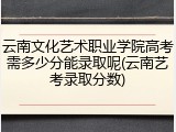 云南文化艺术职业学院高考需多少分能录取呢(云南艺考录取分数)