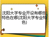 沈阳大学专业开设有哪些,特色在哪(沈阳大学专业特色)