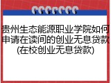 贵州生态能源职业学院如何申请在读间的创业无息贷款(在校创业无息贷款)
