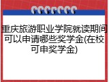 重庆旅游职业学院就读期间可以申请哪些奖学金(在校可申奖学金)