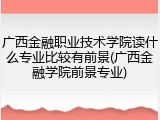广西金融职业技术学院读什么专业比较有前景(广西金融学院前景专业)