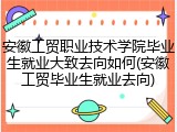安徽工贸职业技术学院毕业生就业大致去向如何(安徽工贸毕业生就业去向)