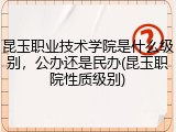昆玉职业技术学院是什么级别，公办还是民办(昆玉职院性质级别)