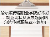 哈尔滨传媒职业学院好不好，就业现状及发展趋势(哈尔滨传媒职院就业趋势)