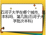 石河子大学在哪个城市，是本科吗，第几批(石河子大学批次本科)