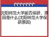 沈阳师范大学能否保研，原因是什么(沈阳师范大学保研原因)