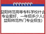益阳师范高等专科学校什么专业最好，一年招多少人(益阳师范热门专业招生)