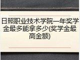 日照职业技术学院一年奖学金最多能拿多少(奖学金最高金额)