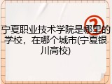 宁夏职业技术学院是哪里的学校，在哪个城市(宁夏银川高校)