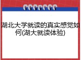 湖北大学就读的真实感觉如何(湖大就读体验)