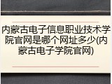 内蒙古电子信息职业技术学院官网是哪个网址多少(内蒙古电子学院官网)