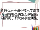 新疆石河子职业技术学院共开设有哪些类型奖学金(新疆石河子职院奖学金类型)