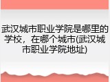 武汉城市职业学院是哪里的学校，在哪个城市(武汉城市职业学院地址)