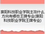 襄阳科技职业学院主攻什么方向有哪些王牌专业(襄阳科技职业学院王牌专业)
