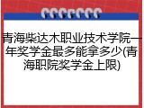 青海柴达木职业技术学院一年奖学金最多能拿多少(青海职院奖学金上限)