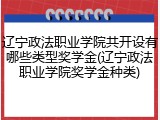辽宁政法职业学院共开设有哪些类型奖学金(辽宁政法职业学院奖学金种类)