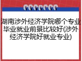 湖南涉外经济学院哪个专业毕业就业前景比较好(涉外经济学院好就业专业)