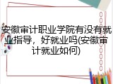 安徽审计职业学院有没有就业指导，好就业吗(安徽审计就业如何)
