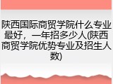 陕西国际商贸学院什么专业最好，一年招多少人(陕西商贸学院优势专业及招生人数)