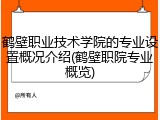 鹤壁职业技术学院的专业设置概况介绍(鹤壁职院专业概览)