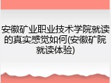 安徽矿业职业技术学院就读的真实感觉如何(安徽矿院就读体验)