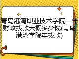 青岛港湾职业技术学院一年财政拨款大概多少钱(青岛港湾学院年拨款)