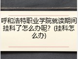呼和浩特职业学院就读期间挂科了怎么办呢？(挂科怎么办)