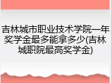 吉林城市职业技术学院一年奖学金最多能拿多少(吉林城职院最高奖学金)