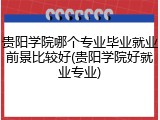 贵阳学院哪个专业毕业就业前景比较好(贵阳学院好就业专业)