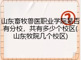 山东畜牧兽医职业学院是否有分校，共有多少个校区(山东牧院几个校区)