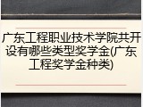 广东工程职业技术学院共开设有哪些类型奖学金(广东工程奖学金种类)