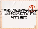 广西建设职业技术学院的学生毕业都怎么样了(广西建院学生去向)