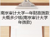 南京审计大学一年财政拨款大概多少钱(南京审计大学年拨款)