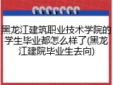 黑龙江建筑职业技术学院的学生毕业都怎么样了(黑龙江建院毕业生去向)