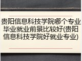 贵阳信息科技学院哪个专业毕业就业前景比较好(贵阳信息科技学院好就业专业)