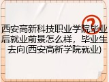 西安高新科技职业学院毕业后就业前景怎么样，毕业生去向(西安高新学院就业)