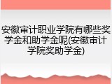 安徽审计职业学院有哪些奖学金和助学金呢(安徽审计学院奖助学金)