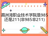 湄洲湾职业技术学院是985还是211(非985非211)