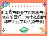 湖南都市职业学院哪些专业就业前景好，为什么(湖南都市职业学院优势专业)