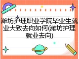 潍坊护理职业学院毕业生就业大致去向如何(潍坊护理就业去向)