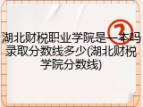湖北财税职业学院是一本吗录取分数线多少(湖北财税学院分数线)