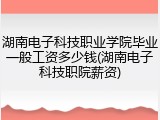 湖南电子科技职业学院毕业一般工资多少钱(湖南电子科技职院薪资)